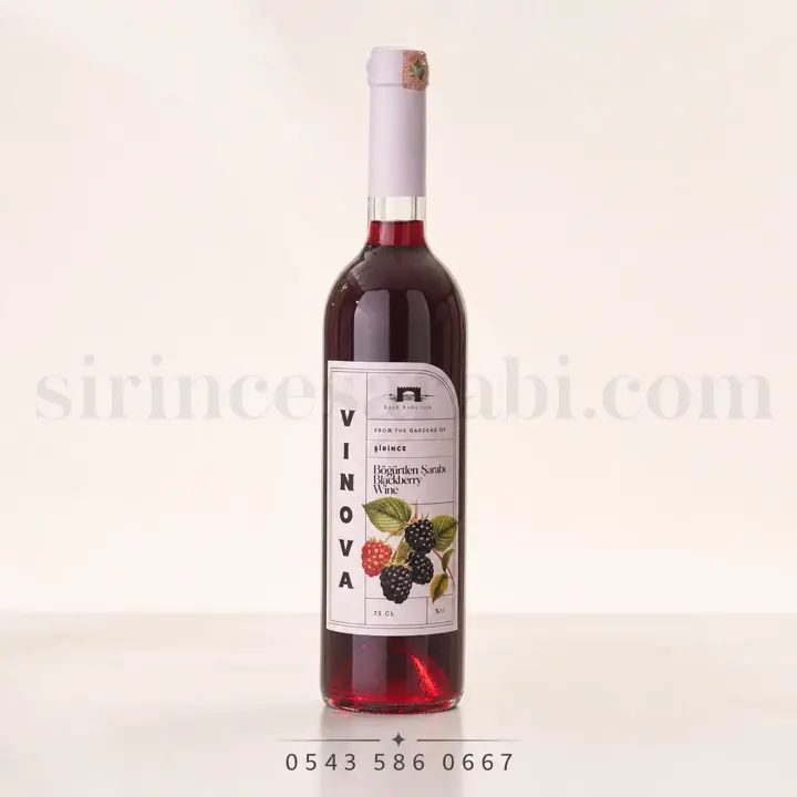 750 ml cam şişede Vinova marka böğürtlen şarabı görseli